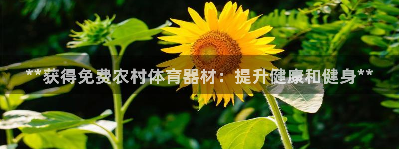 富联娱乐登录注册不了：**获得免费农村体育器材：提升
