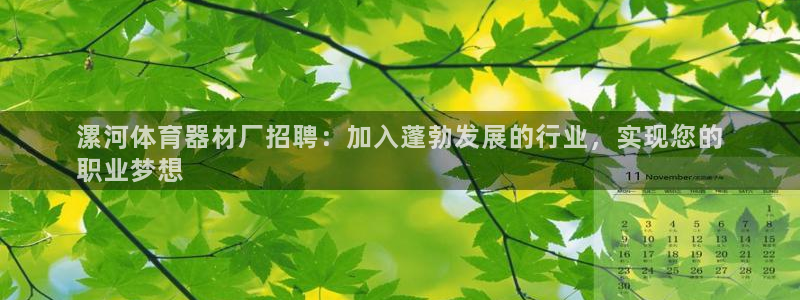 富联申购是什么股票板块：漯河体育器材厂招聘：加入蓬勃