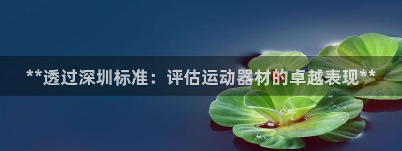 富联娱乐平台是什么平台：**透过深圳标准：评估运动器