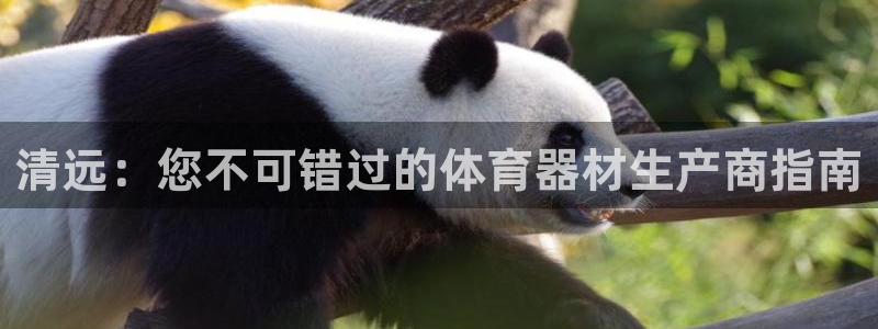 富联是什么意思：清远：您不可错过的体育器材生产商指南