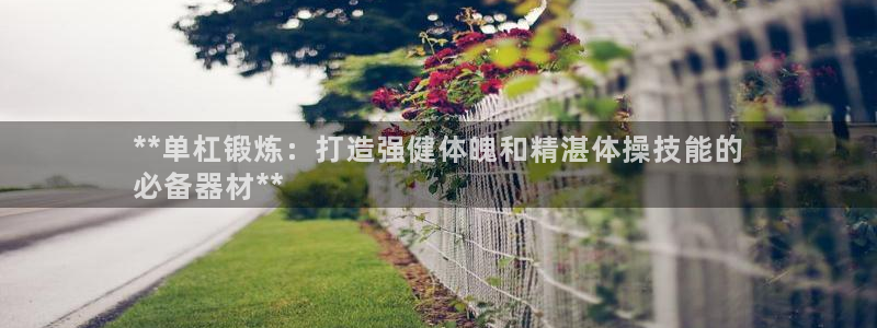 富联平台主管代理：**单杠锻炼：打造强健体魄和精湛体