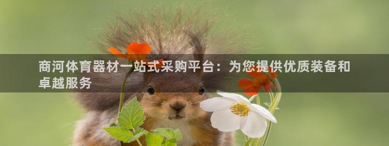 富联平台线路检测中心怎么样：商河体育器材一站式采购平