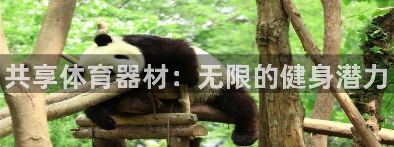 江西富联地产：共享体育器材：无限的健身潜力