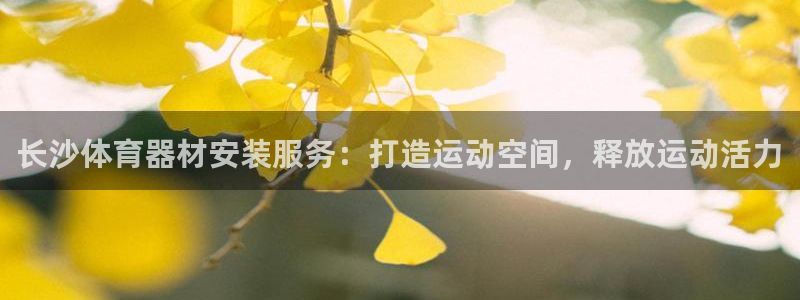 富联机器人产业研发基地：长沙体育器材安装服务：打造运