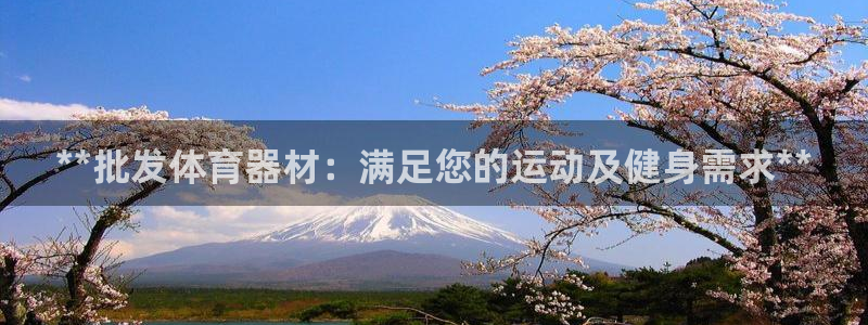 富联娱乐玩法机制：**批发体育器材：满足您的运动及健