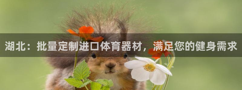 富联平台商 5O6917 平台：湖北：批量定制进口体