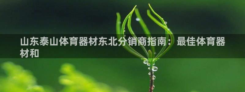 富联平台去 58534I 平台：山东泰山体育器材东北