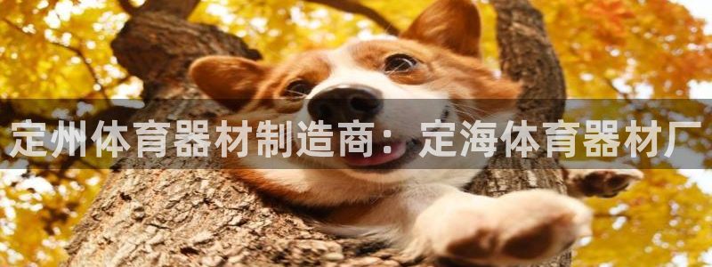 富联娱乐按7O777：定州体育器材制造商：定海体育器