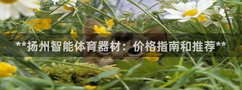 富联官方网站入口下载安卓：**扬州智能体育器材：价格