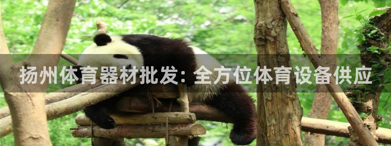 富联娱乐会员账号怎么注销：扬州体育器材批发: 全方位