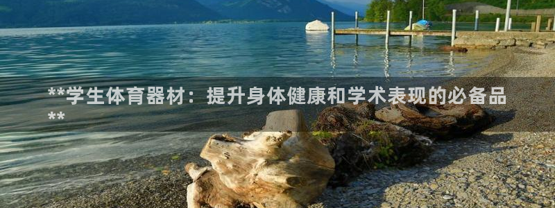 富联平台网站是什么：**学生体育器材：提升身体健康和