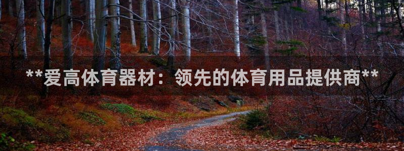 富联娱乐平台开户流程视频：**爱高体育器材：领先的体