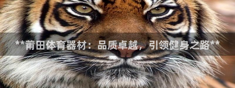 富联娱乐老板是谁：**莆田体育器材：品质卓越，引领健