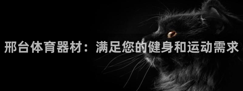 富联平台开户：邢台体育器材：满足您的健身和运动需求
