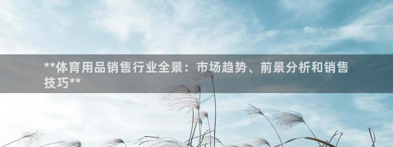 富联娱乐是什么时候开的：**体育用品销售行业全景：市