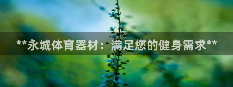 江西富联地产：**永城体育器材：满足您的健身需求**