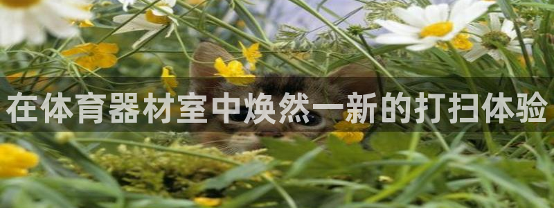 富联集团做什么的：在体育器材室中焕然一新的打扫体验