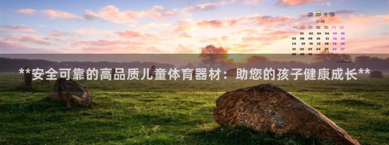 富联平台社7O777：**安全可靠的高品质儿童体育器