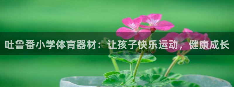 富联平台赢钱不给退怎么办呢：吐鲁番小学体育器材：让孩