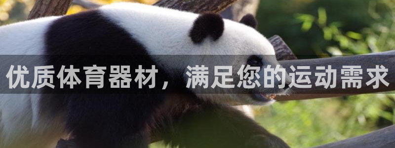 富联官方网站下载：优质体育器材，满足您的运动需求