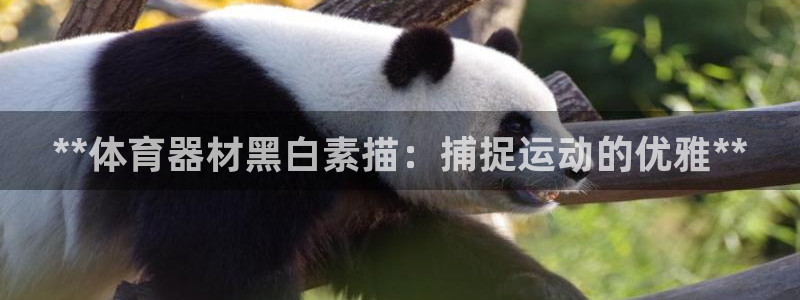 富联娱乐是骗局吗知乎：**体育器材黑白素描：捕捉运动