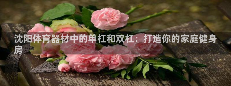 富联平台社7O777：沈阳体育器材中的单杠和双杠：打