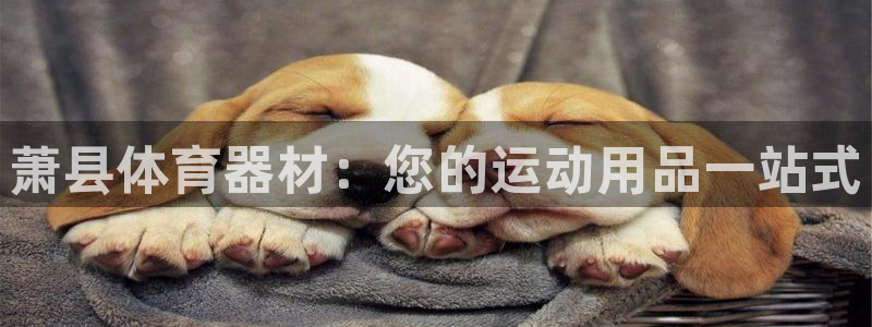 富联平台用户登陆不了：萧县体育器材：您的运动用品一站