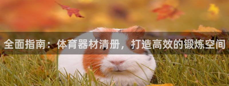 富联平台注册登录不了：全面指南：体育器材清册，打造高