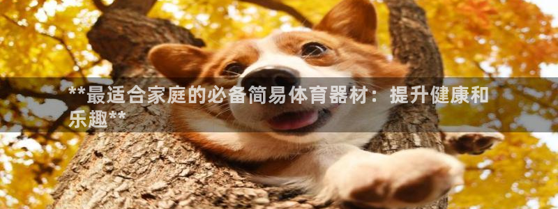 富联娱乐老板：**最适合家庭的必备简易体育器材：提升