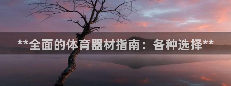 富联超市：**全面的体育器材指南：各种选择**