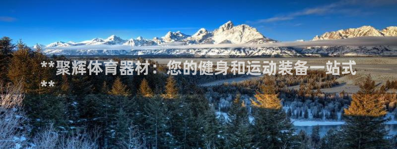 富联化工：**聚辉体育器材：您的健身和运动装备一站式