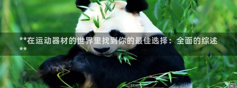 富联官方网站首页入口：**在运动器材的世界里找到你的