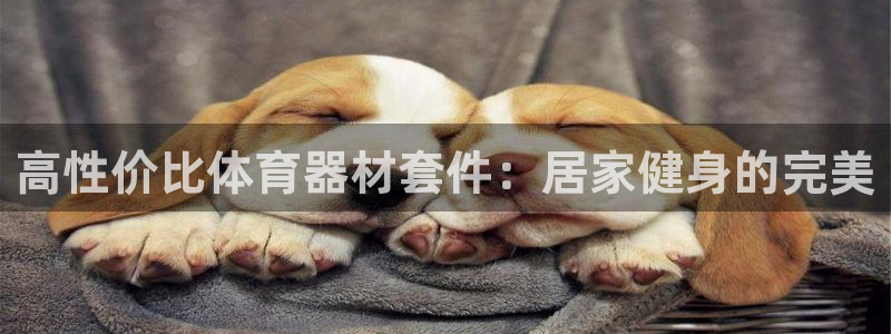 富联平台挂机：高性价比体育器材套件：居家健身的完美