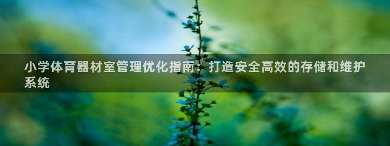 富联平台安装流程：小学体育器材室管理优化指南：打造安