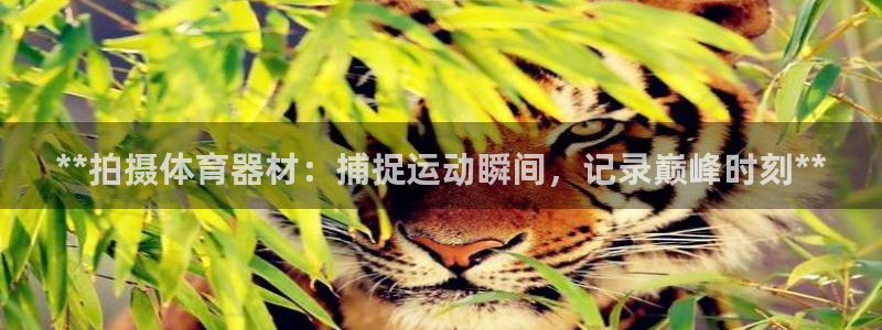 富联平台去 58534I 平台：**拍摄体育器材：捕