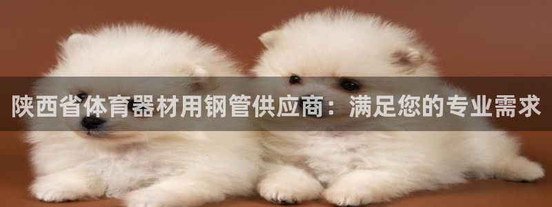 富联平台注册登录入口：陕西省体育器材用钢管供应商：满