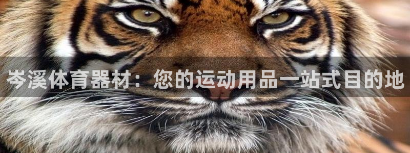 富联娱乐会员账号注销：岑溪体育器材：您的运动用品一站