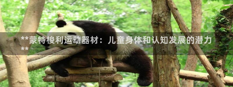 富联娱乐负责人名单：**蒙特梭利运动器材：儿童身体和