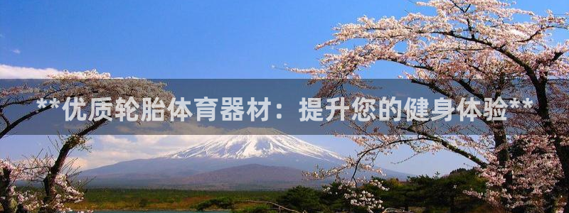 富联官方网站入口下载安卓：**优质轮胎体育器材：提升