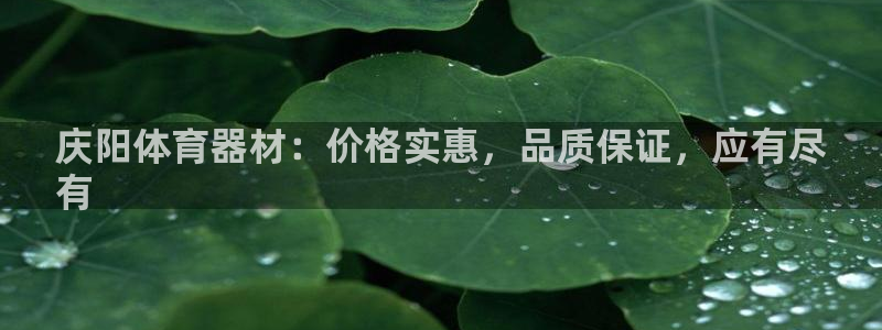 富联娱乐护7O777：庆阳体育器材：价格实惠，品质保