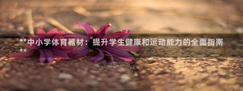 富联官网登录：**中小学体育器材：提升学生健康和运动