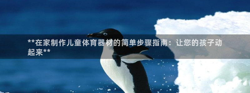 富联娱乐是什么时候开的：**在家制作儿童体育器材的简