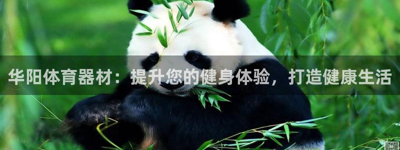 富联娱乐登录注册入口官网下载安卓：华阳体育器材：提升