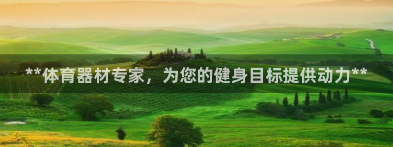 富联娱乐平台能挣到钱吗安全吗：**体育器材专家，为您