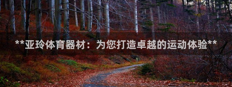 香港富联国际集团：**亚玲体育器材：为您打造卓越的运