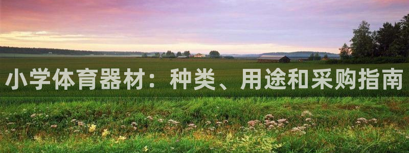 富联官方网站入口下载安装：小学体育器材：种类、用途和