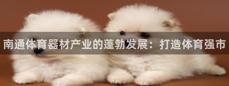 富联娱乐股东构成：南通体育器材产业的蓬勃发展：打造体