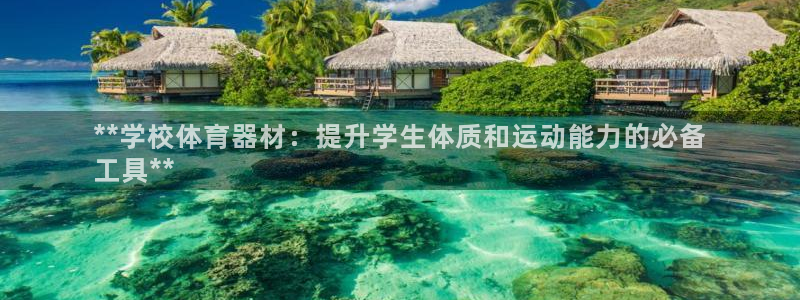 富联平台登入：**学校体育器材：提升学生体质和运动能