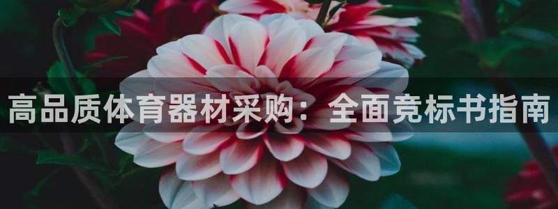 杭州富联科技：高品质体育器材采购：全面竞标书指南