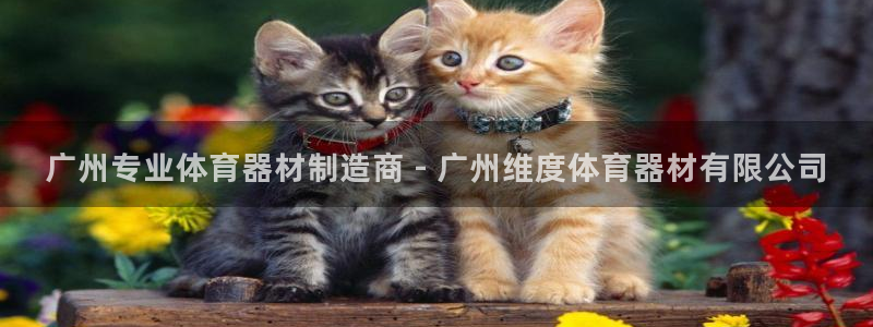 富联娱乐丁6.7.5.1.3.8：广州专业体育器材制